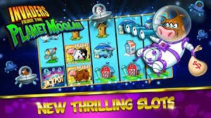Live Casino 568 win